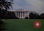 Standbild Marigolds in Bloom Washington DC USA, 1974, aus Sekunde 62 historischem Filmmaterial Videoclip 65675032288