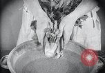 Image of preventing disease and cleansing raw food United States USA, 1922, second 22 stock footage video 65675032295