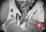 Image of preventing disease and cleansing raw food United States USA, 1922, second 27 stock footage video 65675032295