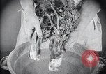 Image of preventing disease and cleansing raw food United States USA, 1922, second 28 stock footage video 65675032295
