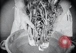 Image of preventing disease and cleansing raw food United States USA, 1922, second 29 stock footage video 65675032295
