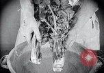 Image of preventing disease and cleansing raw food United States USA, 1922, second 30 stock footage video 65675032295