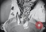Image of preventing disease and cleansing raw food United States USA, 1922, second 31 stock footage video 65675032295
