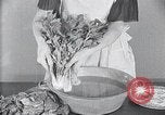 Image of preventing disease and cleansing raw food United States USA, 1922, second 33 stock footage video 65675032295