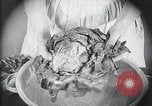 Image of preventing disease and cleansing raw food United States USA, 1922, second 45 stock footage video 65675032295