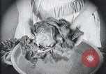 Image of preventing disease and cleansing raw food United States USA, 1922, second 46 stock footage video 65675032295