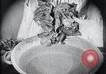 Image of preventing disease and cleansing raw food United States USA, 1922, second 49 stock footage video 65675032295