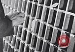 Image of hands performing various jobs late 1930s United States USA, 1937, second 27 stock footage video 65675032298