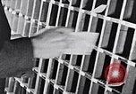 Image of hands performing various jobs late 1930s United States USA, 1937, second 29 stock footage video 65675032298