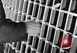 Image of hands performing various jobs late 1930s United States USA, 1937, second 30 stock footage video 65675032298