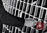 Image of hands performing various jobs late 1930s United States USA, 1937, second 33 stock footage video 65675032298