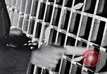 Image of hands performing various jobs late 1930s United States USA, 1937, second 34 stock footage video 65675032298