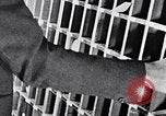 Image of hands performing various jobs late 1930s United States USA, 1937, second 36 stock footage video 65675032298