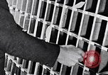 Image of hands performing various jobs late 1930s United States USA, 1937, second 37 stock footage video 65675032298