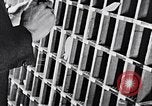 Image of hands performing various jobs late 1930s United States USA, 1937, second 38 stock footage video 65675032298
