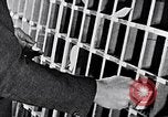 Image of hands performing various jobs late 1930s United States USA, 1937, second 39 stock footage video 65675032298