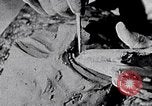 Standbild Kunst Arbeitstechniken New York City USA, 1937, aus Sekunde 39 historischem Filmmaterial Videoclip 65675032299
