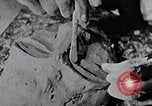 Standbild Kunst Arbeitstechniken New York City USA, 1937, aus Sekunde 43 historischem Filmmaterial Videoclip 65675032299