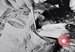 Standbild Kunst Arbeitstechniken New York City USA, 1937, aus Sekunde 45 historischem Filmmaterial Videoclip 65675032299