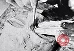 Standbild Kunst Arbeitstechniken New York City USA, 1937, aus Sekunde 46 historischem Filmmaterial Videoclip 65675032299