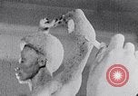 Image of Richmond Barthe sculpture of male and female dancing New York City USA, 1937, second 41 stock footage video 65675032303