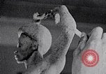 Image of Richmond Barthe sculpture of male and female dancing New York City USA, 1937, second 47 stock footage video 65675032303