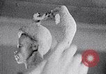 Image of Richmond Barthe sculpture of male and female dancing New York City USA, 1937, second 58 stock footage video 65675032303