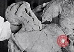 Image of Richmond Barthe designing sculpture New York City USA, 1937, second 15 stock footage video 65675032304