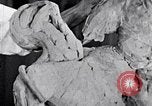 Image of Richmond Barthe designing sculpture New York City USA, 1937, second 16 stock footage video 65675032304