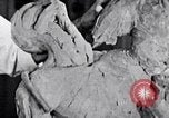 Image of Richmond Barthe designing sculpture New York City USA, 1937, second 17 stock footage video 65675032304