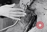Image of Richmond Barthe designing sculpture New York City USA, 1937, second 47 stock footage video 65675032304