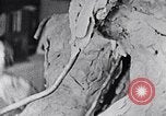 Image of Richmond Barthe designing sculpture New York City USA, 1937, second 52 stock footage video 65675032304