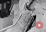 Image of Richmond Barthe designing sculpture New York City USA, 1937, second 53 stock footage video 65675032304