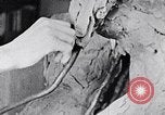 Image of Richmond Barthe designing sculpture New York City USA, 1937, second 54 stock footage video 65675032304