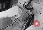 Image of Richmond Barthe designing sculpture New York City USA, 1937, second 55 stock footage video 65675032304