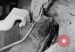 Image of Richmond Barthe designing sculpture New York City USA, 1937, second 57 stock footage video 65675032304