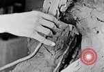 Image of Richmond Barthe designing sculpture New York City USA, 1937, second 58 stock footage video 65675032304