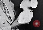 Standbild Lois Mailou Jones Malerin New York City USA, 1937, aus Sekunde 26 historischem Filmmaterial Videoclip 65675032309