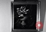 Immagine di Pittura e Scultura in museo New York City USA, 1937, secondo 30 filmato di repertorio 65675032312