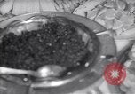 Image of 33rd anniversary of Bolshevik Revolution Washington DC USA, 1950, second 25 stock footage video 65675032325