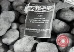 Immagine di Frutta e verdura exhibition Kolomna Russia, 1947, secondo 36 filmato di repertorio 65675032347