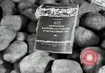 Immagine di Frutta e verdura exhibition Kolomna Russia, 1947, secondo 37 filmato di repertorio 65675032347