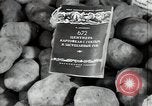 Immagine di Frutta e verdura exhibition Kolomna Russia, 1947, secondo 39 filmato di repertorio 65675032347