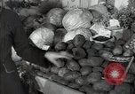 Immagine di Frutta e verdura exhibition Kolomna Russia, 1947, secondo 55 filmato di repertorio 65675032347