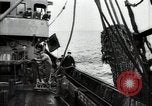Standbild Studenten Proben Sea of Okhotsk, 1947, aus Sekunde 30 historischem Filmmaterial Videoclip 65675032348