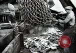 Standbild Studenten Proben Sea of Okhotsk, 1947, aus Sekunde 39 historischem Filmmaterial Videoclip 65675032348