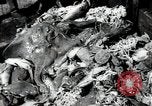 Standbild Studenten Proben Sea of Okhotsk, 1947, aus Sekunde 41 historischem Filmmaterial Videoclip 65675032348