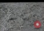 Standbild Stalin Kolchose Landwirte Frühjahrspflanzung Rostov Russland, 1947, aus Sekunde 21 historischem Filmmaterial Videoclip 65675032352