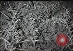 Standbild Stalin Kolchose Landwirte Frühjahrspflanzung Rostov Russland, 1947, aus Sekunde 22 historischem Filmmaterial Videoclip 65675032352