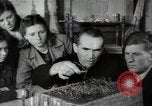 Standbild Stalin Kolchose Landwirte Frühjahrspflanzung Rostov Russland, 1947, aus Sekunde 29 historischem Filmmaterial Videoclip 65675032352